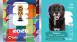El álbum de figuritas de mascotas: lanzaron stickers de perros que buscan ser adoptados