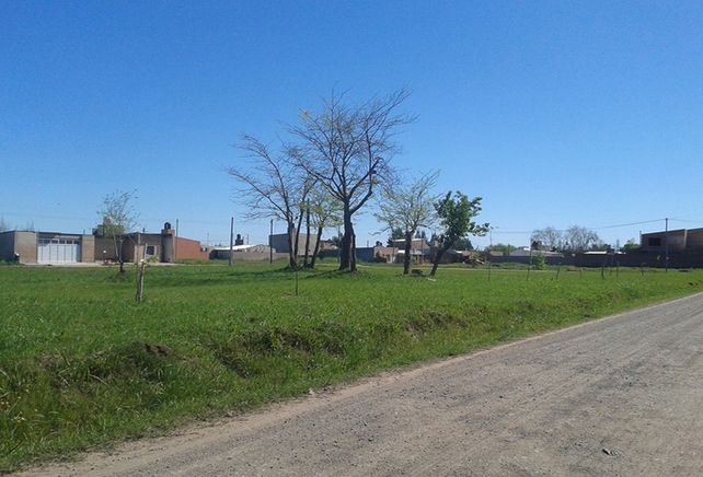 Lo primero. El predio ya tiene el pasto corto y se plantaron algunos árboles