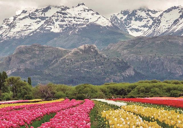 El premio reconoce a aquellas localidades que son un ejemplo de destinos de turismo rural con bienes culturales y naturales reconocidos.