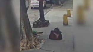 Se la tragó la tierra: una mujer cayó por una alcantarilla en Río de Janeiro