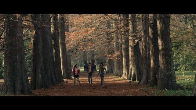 Otoño porteño. Julieta Zylberberg