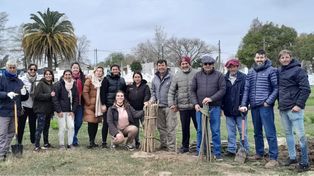 La cortina forestal en el sureste de la provincia lleva beneficios tanto a la cotidianeidad del ser humano como a la naturaleza.