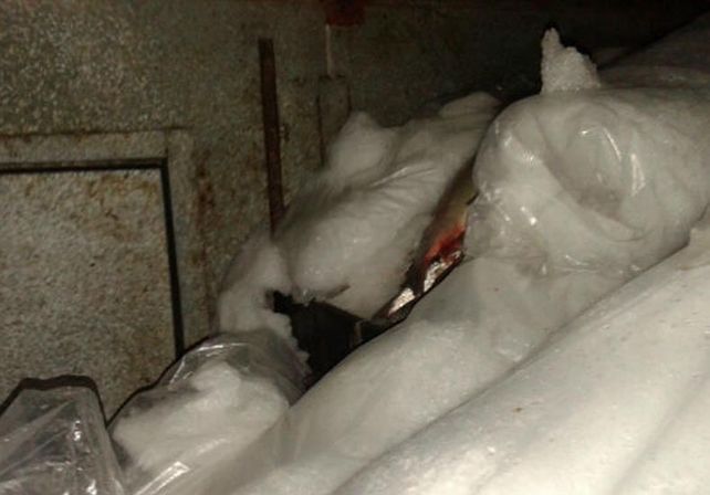 Interceptaron un barco que llevaba seis toneladas de pescado en infracción
