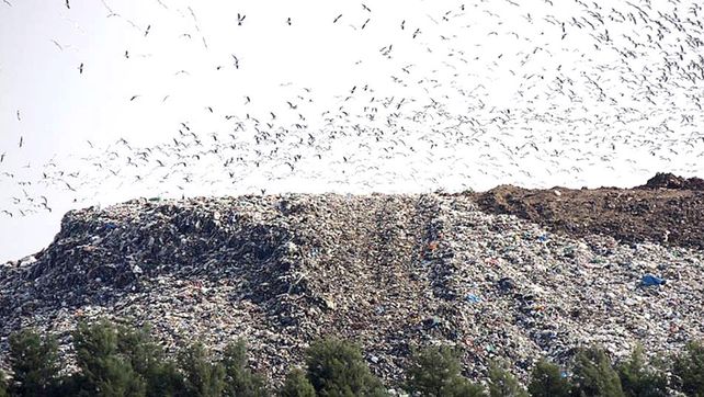 Montaña. El año pasado se llevaron a Ricardone 842 toneladas de residuos. Y la cantidad sigue aumentando.