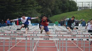 Excelente desempeño de la delegación santafesina en los Juegos Nacionales Evita