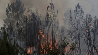 Más de 60 muertos y de 60 heridos por un incendio