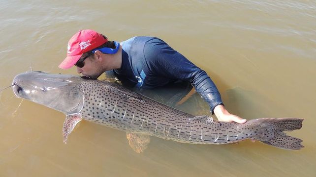 El río Paraná será el marco de la 37ª edición del Concurso Argentino de Pesca del Surubí con Devolución