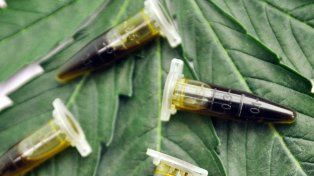 Será este jueves a las 15.30 en el marco de la Marcha Mundial de la Marihuana. Piden al gobierno que no toque Reprocann