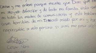 Caso Cecilia Strzyzowski: insólita carta de su ex pareja
