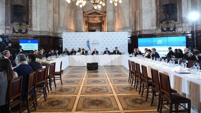 El Senado pasa el debate de Ley Bases a la semana que viene