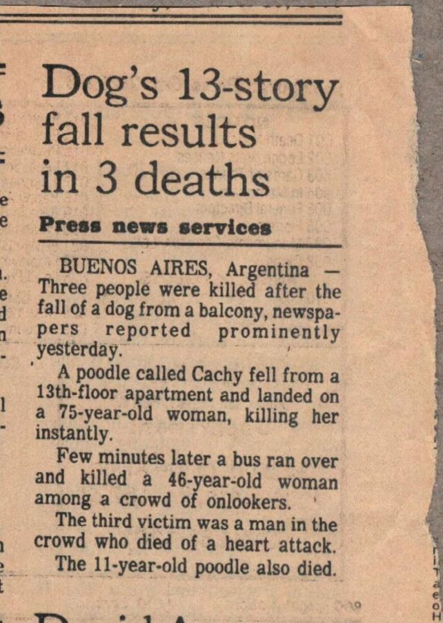 Noticias de película, como caídas del cielo: a 34 años de una historia increíble pero real