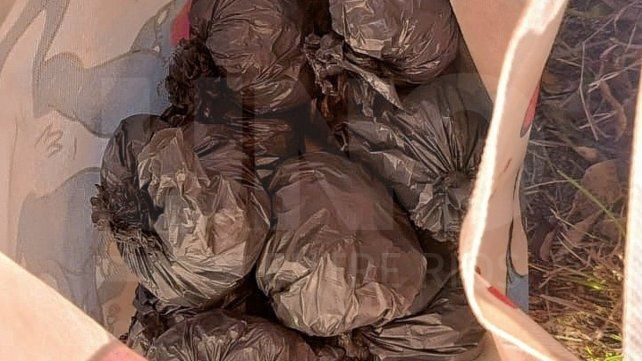 Detenido con 14 pelotas de trapo con marihuana y cocaína