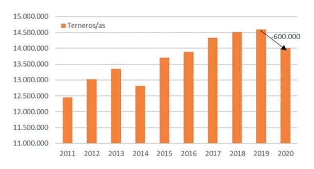 Terneros/as registrados en la segunda campaña de vacunación de Antiaftosa. Fuente SENASA