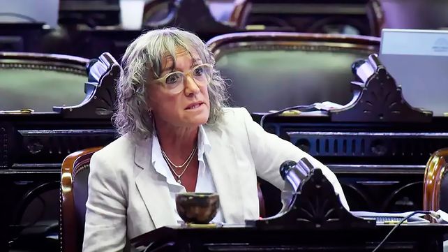 Diputada Mónica Frade