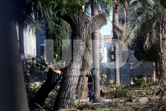 Siguen adelante los trabajos en el Parque Alberdi