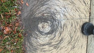 Un tornado de lombrices volando sorprendió a los científicos