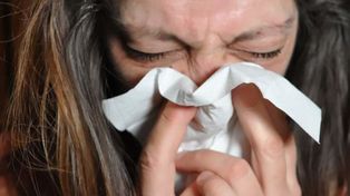 Entre mañanas frías y tardes de primavera: un mapa de los virus que circulan en Rosario