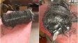 Inquietante hallazgo de basura espacial en campos del sur santafesino