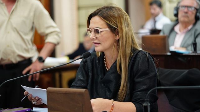 Amalia Granata puede competir en Nuevas Ideas por una banca en Diputados.