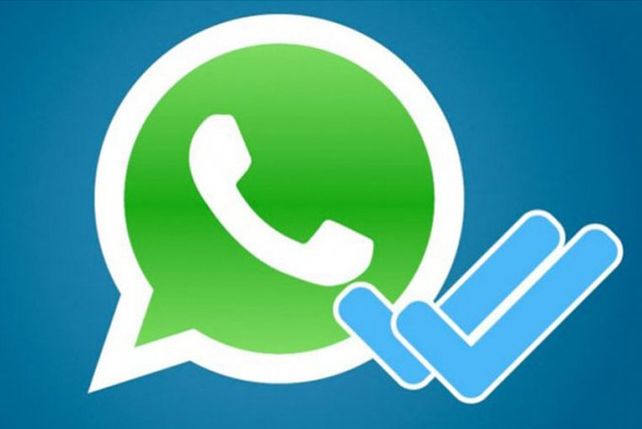 ¿Querés saber cuántos mensajes de WhatsApp mandaste?