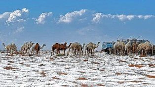 La nieve en el desierto, una imagen inesperada