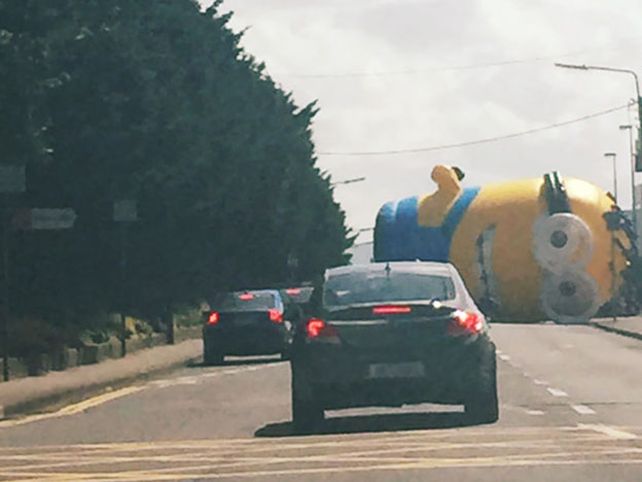 Un minion gigante causó estragos en rutas de Irlanda