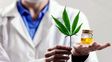 Proponen que el cannabis medicinal pueda ser vendido en farmacias