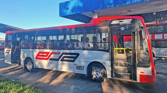 Renovación del transporte en Santa Fe: suman 28 colectivos a las líneas urbanas desde la semana que viene