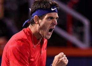 Del Potro busca avanzar en Cincinnati