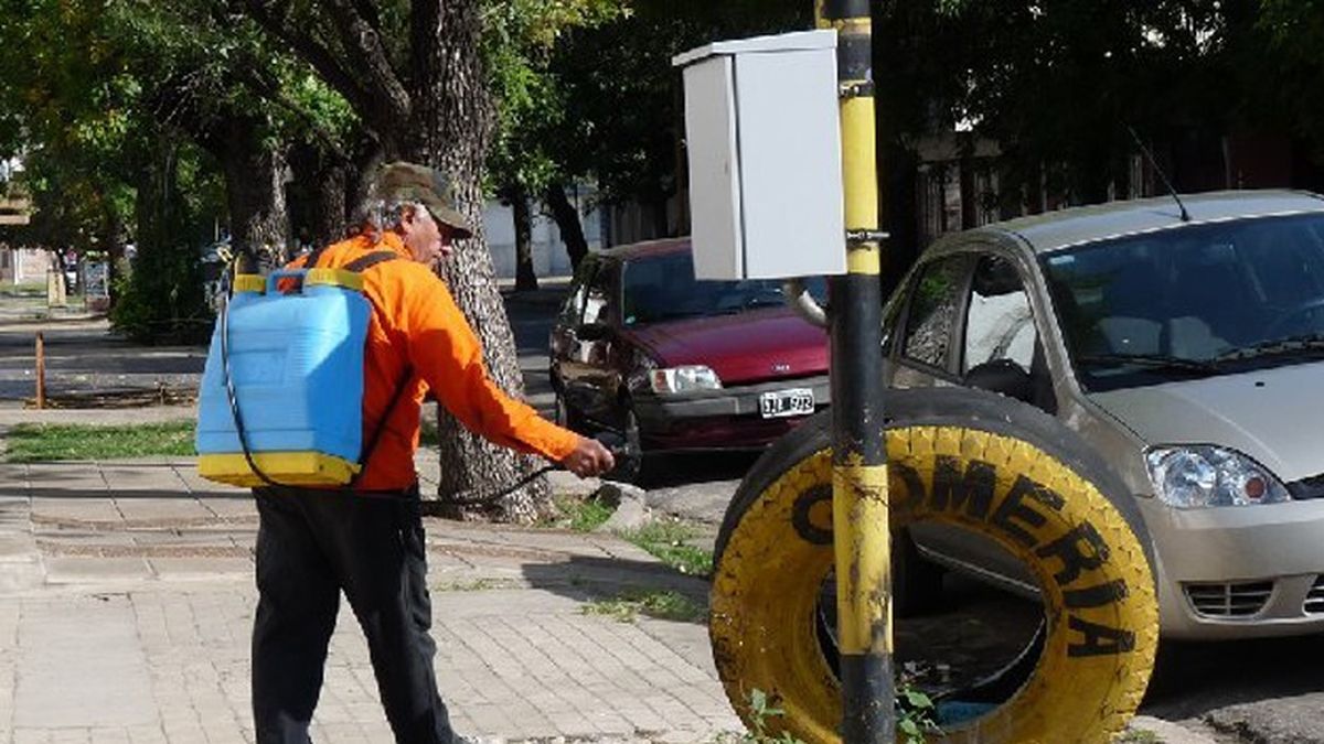 Cronograma De Fumigaciones En La Ciudad Para Esta Semana