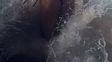 luli salazar subio fotos hot en la playa y hasta se animo al topless