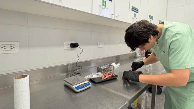 Estudiantes de la UCSF investigan la presencia de microplásticos en cortes cárnicos de consumo humano