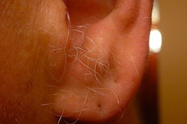 ¿Por qué a los hombres les salen pelos en las orejas?
