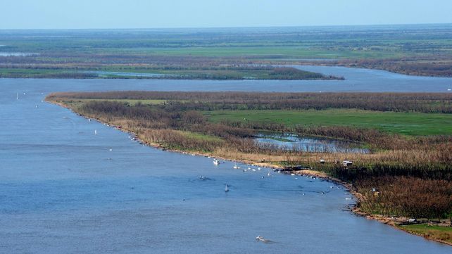 Sin precio. Los humedales son sistemas ambientales únicos por su biodiversidad y los beneficios que aportan.