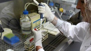 Detección de la Encefalitis Equina. Se trata de una valiosa novedad científica para la salud pública santafesina
