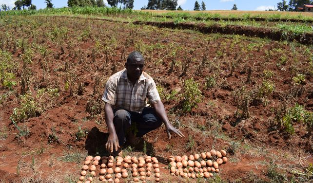El desafío de introducir tecnologías biológicas en la agricultura africana