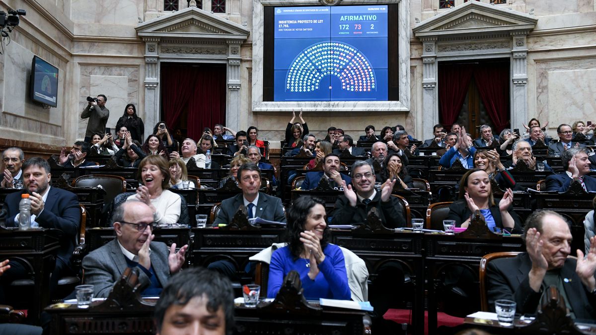 Diputados en vivo: la oposición busca revertir los vetos de Milei a ...