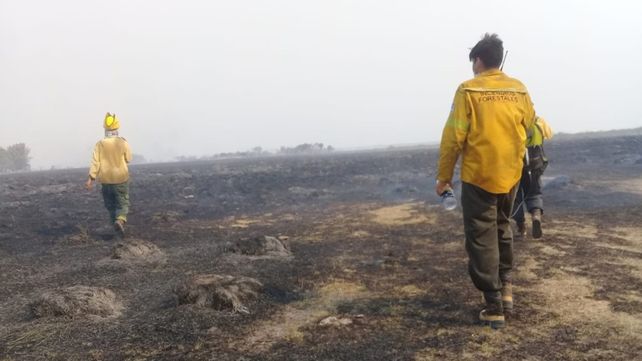Bomberos de Corrientes y Entre Ríos amenazados con machetes por pobladores rurales a quienes intentaban ayudar
