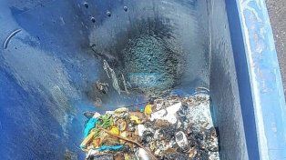 Incendió el contenedor de residuos en horas del mediodía