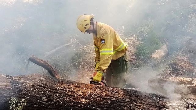 Personal de la subsecretaría de Ambiente brindó capacitación a brigadistas de Entre Ríos y Río Negro para estandarizar procedimientos ante incendios forestales