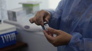 Autorizan a usar la vacuna de AstraZeneca en la Argentina