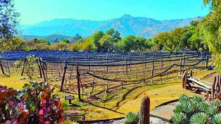 Se trata de una zona donde hay radicadas bodegas y que tiene al vino como uno de sus principales atractivos.&nbsp;