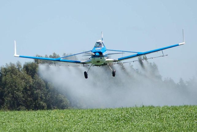 Limitan fumigaciones con 2,4 D