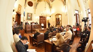 Legislaron. Ratificaron la compra del terreno para la basura.&nbsp;