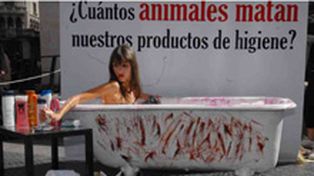 Denuncian que miles de animales mueren por a&ntilde;o en tests de empresas cosm&eacute;ticas
