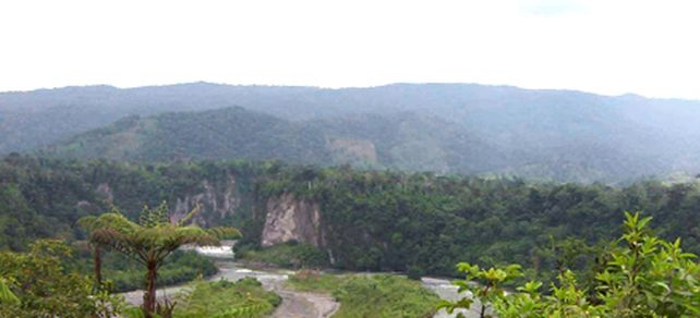 Se acelera el proceso de deforestaci&oacute;n en el Amazonia