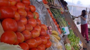 Origen. Dudan que los productos &nbsp;estén aptos para consumo.