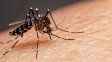 Confirman diez muertes por dengue en la última semana en la provincia de Santa Fe