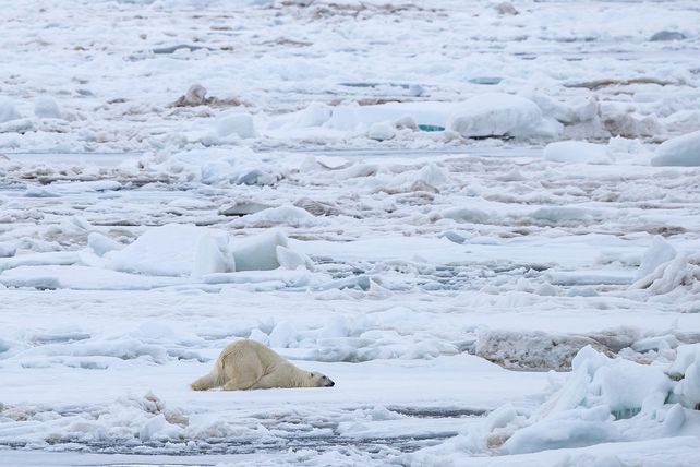 Foto. Gentileza CGTN en Español.