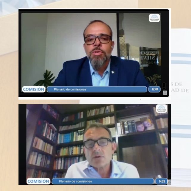 Manuel Jaramillo (FVS) y Andrés Napoli (FARN) exponiendo en Plenario de comisiones de la Cámara de Diputados